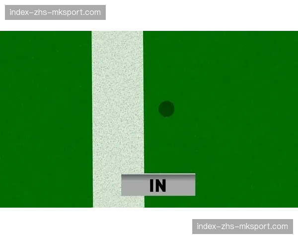 评论观点：鹰眼系统与VAR辅助，定位球判罚精度如何影响得分结构？